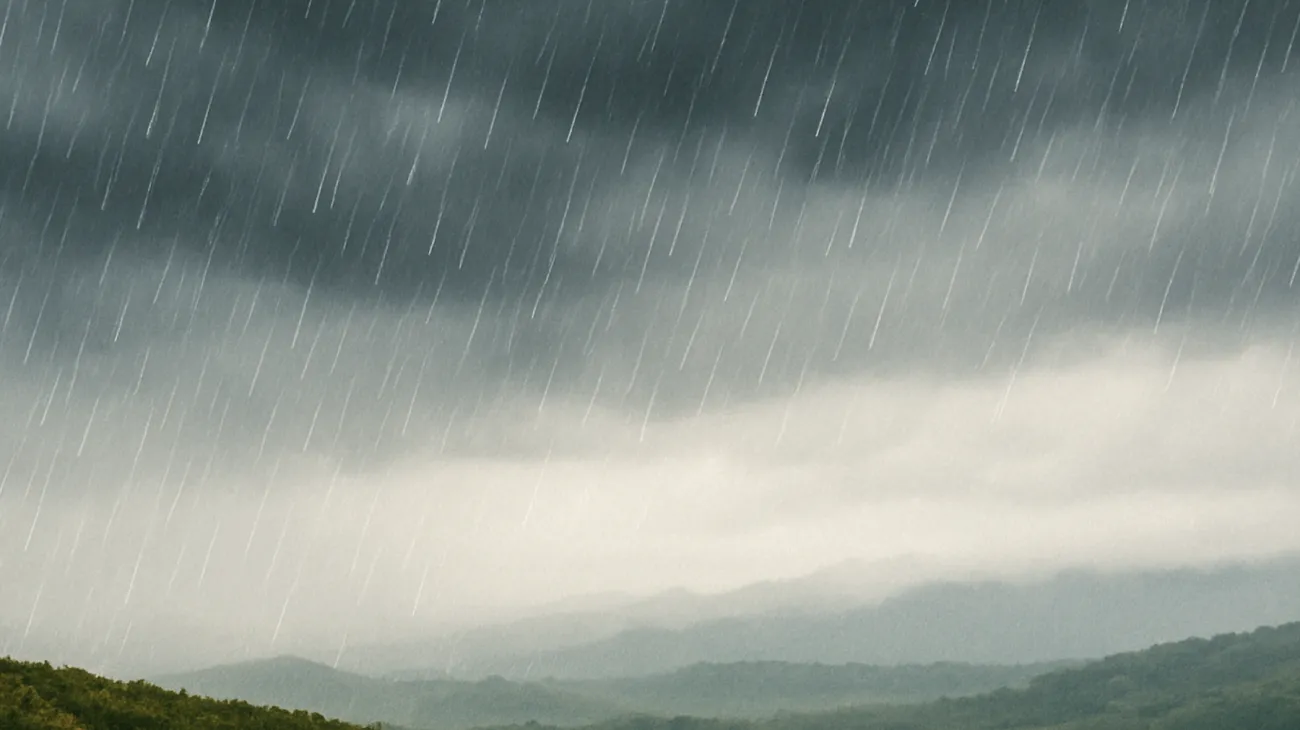 Meteo"